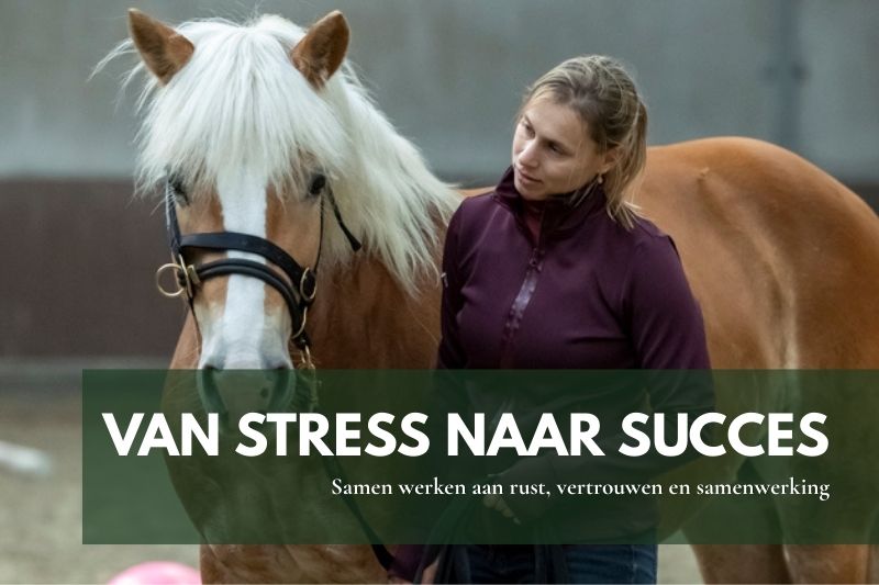 Paard en eigenaar werken samen aan ontspanning en vertrouwen tijdens een praktijkworkshop met schrik- en obstakeltraining.