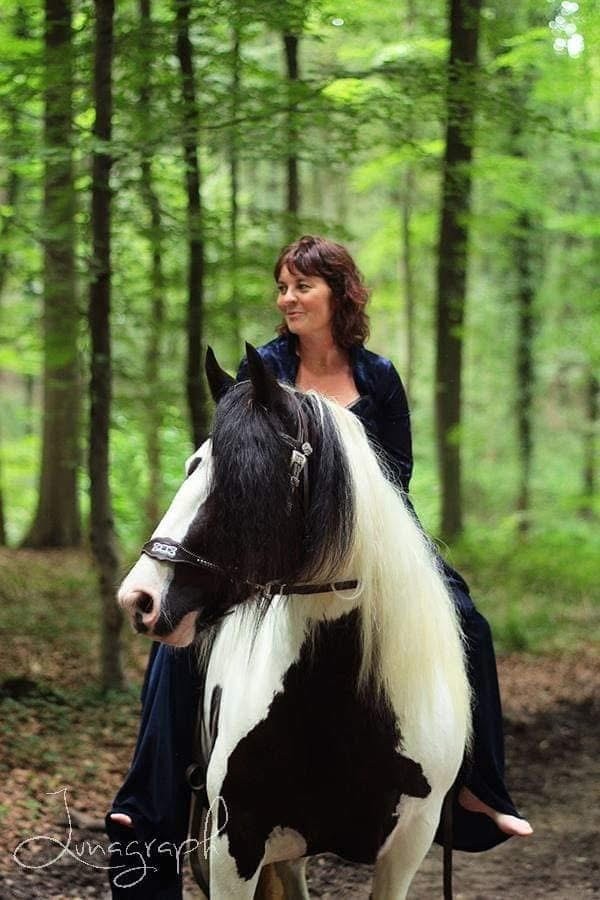 Klant van Horse Academy deelt positieve ervaring met paardencursus