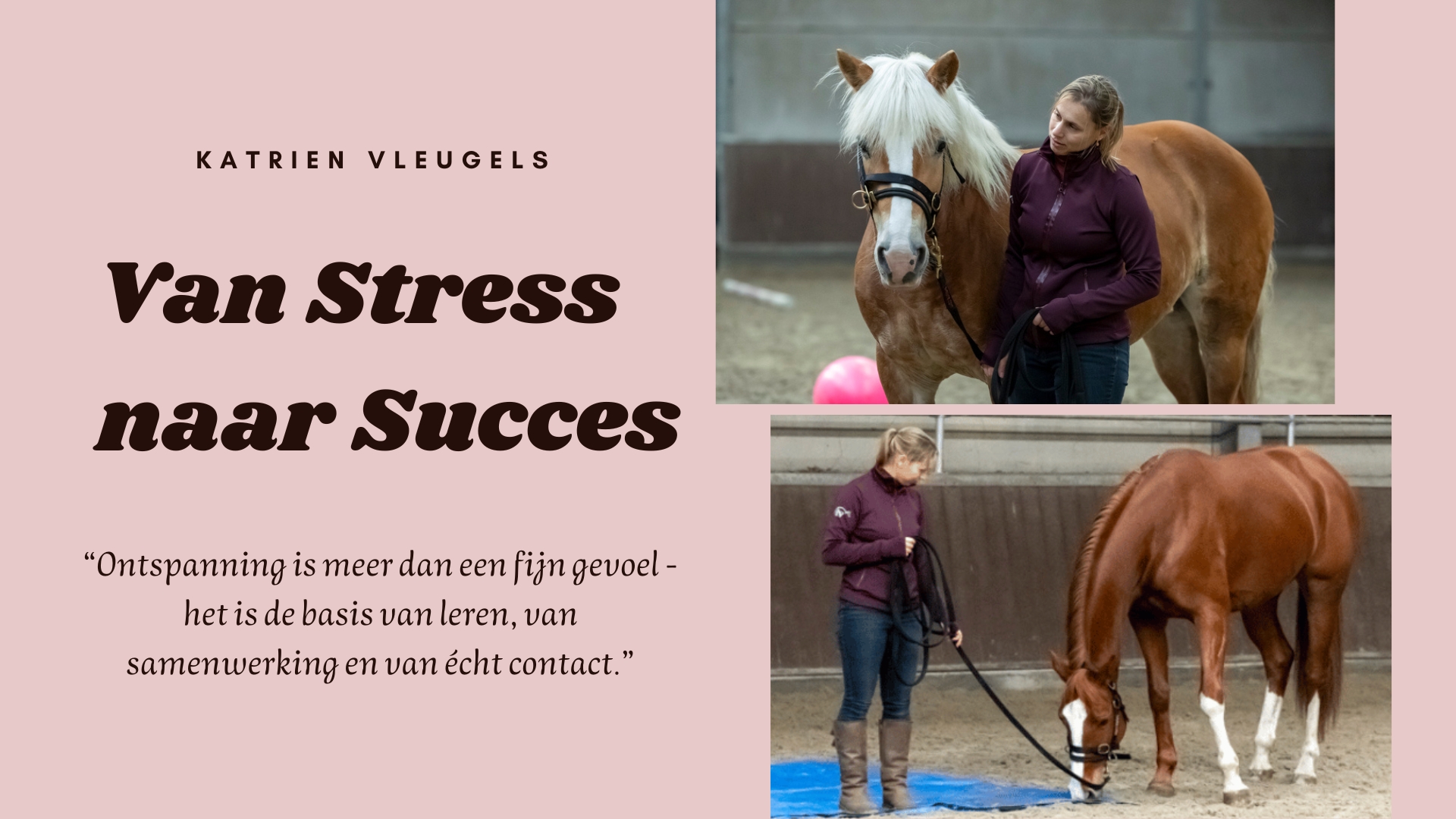 Van Stress naar Succes