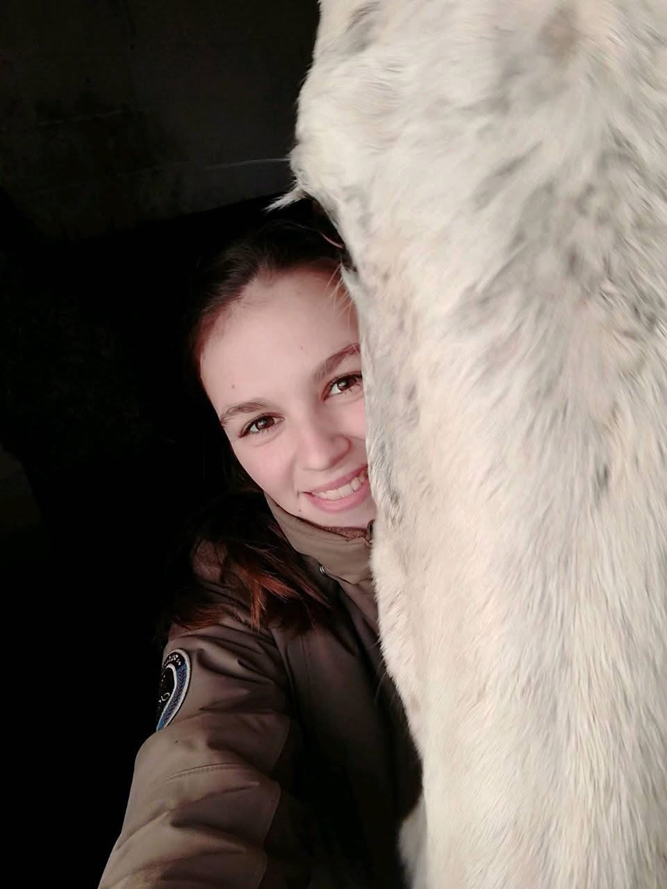 aardeneigenaar leert en werkt samen met haar paard via Horse Academy