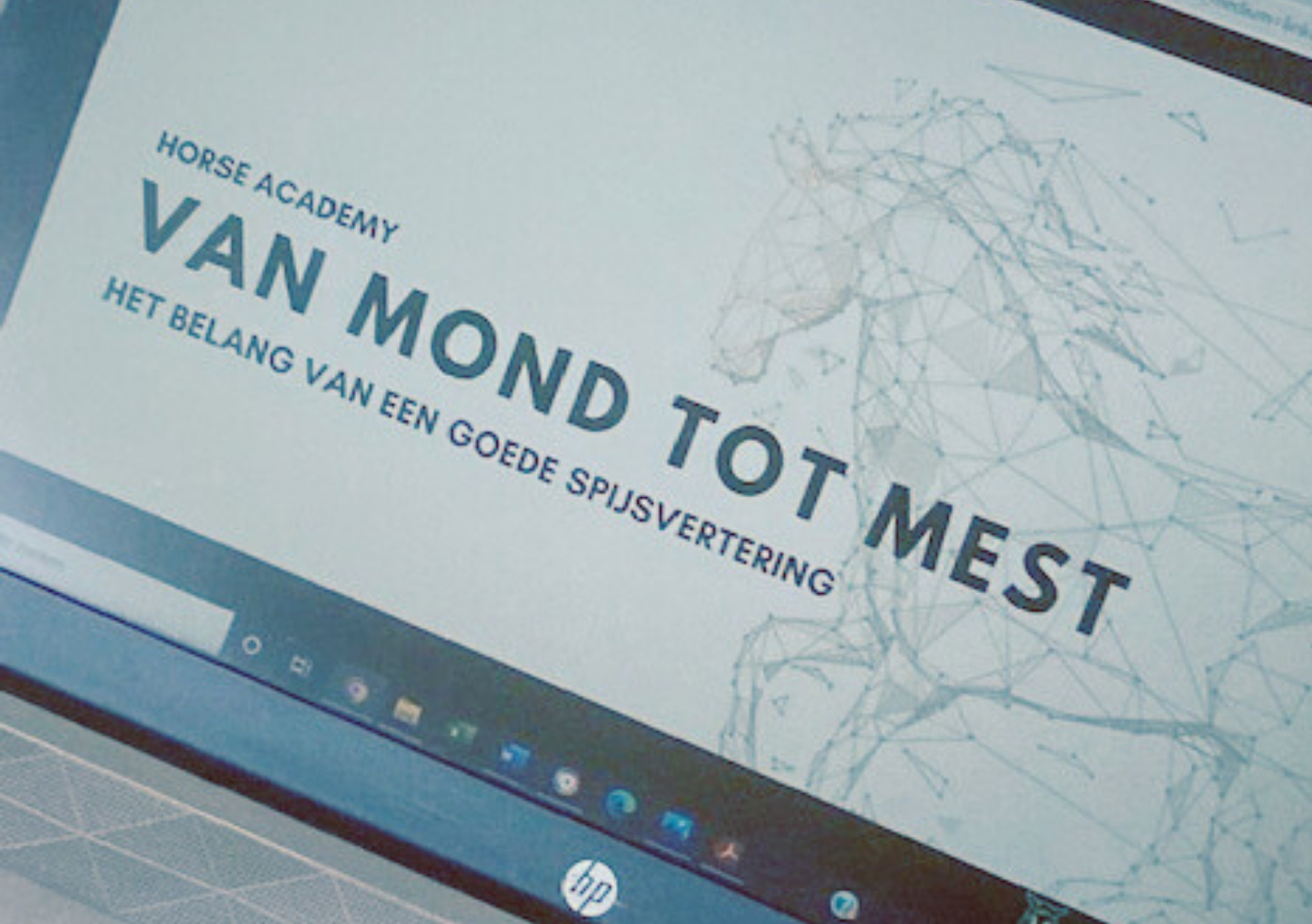 Paardeneigenaar leert online via Horse Academy-platform