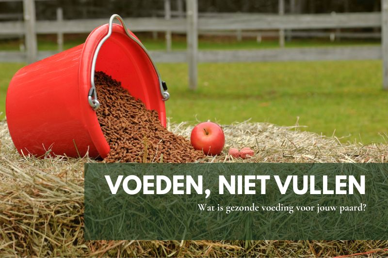 Baal hooi, emmer krachtvoer, appel en wortels bij elkaar, illustratie van verschillende soorten paardenvoer en spijsvertering voor bewuster paarden houden.