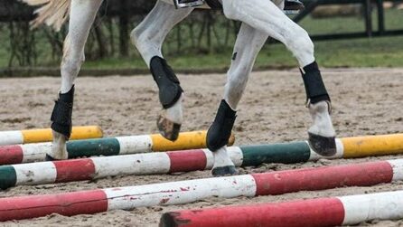 Close-up van paardenbenen die over springbalken draven – training en beweging van paarden