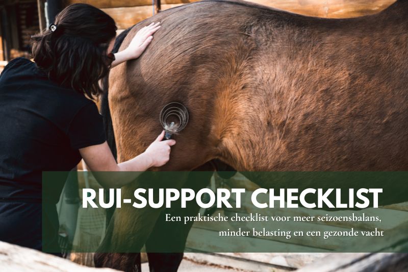 Vrouw borstelt een paard tijdens de ruiperiode; ondersteuning voor een gezonde vacht en welzijn