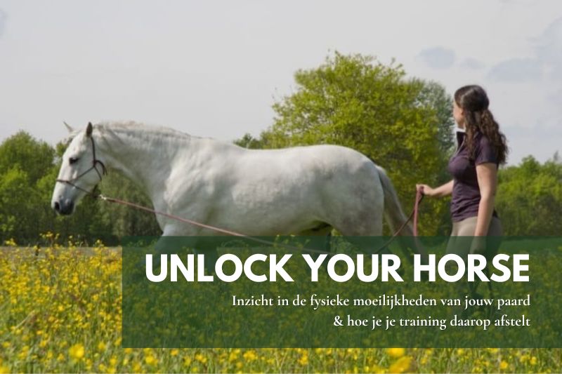 Aglaia Andersen werkt met een paard aan de longe om ontspanning en balans te verbeteren.