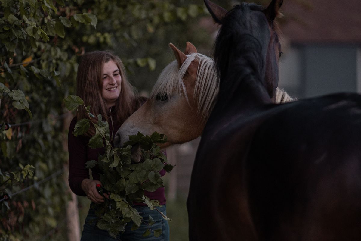 Portret van Lynn Haverhals met haar paarden, expert in verrijking voor paarden.
