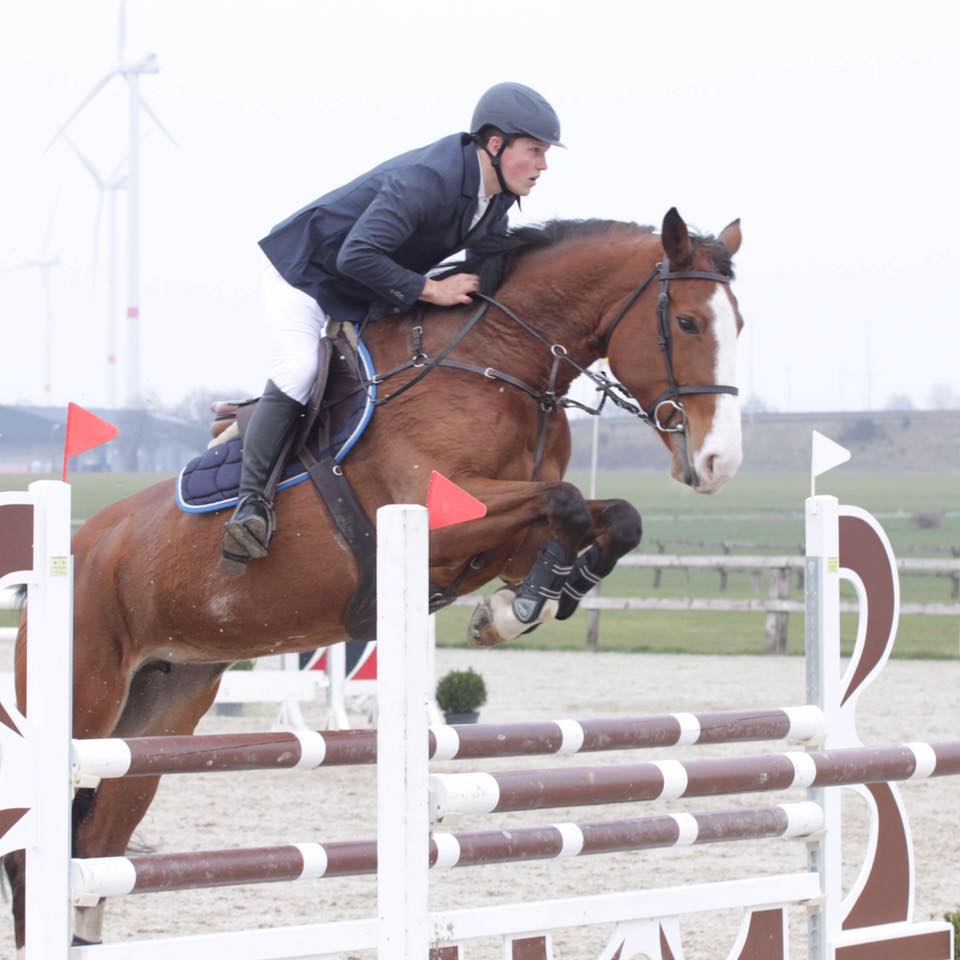 Klant van Horse Academy deelt positieve ervaring met paardencursus