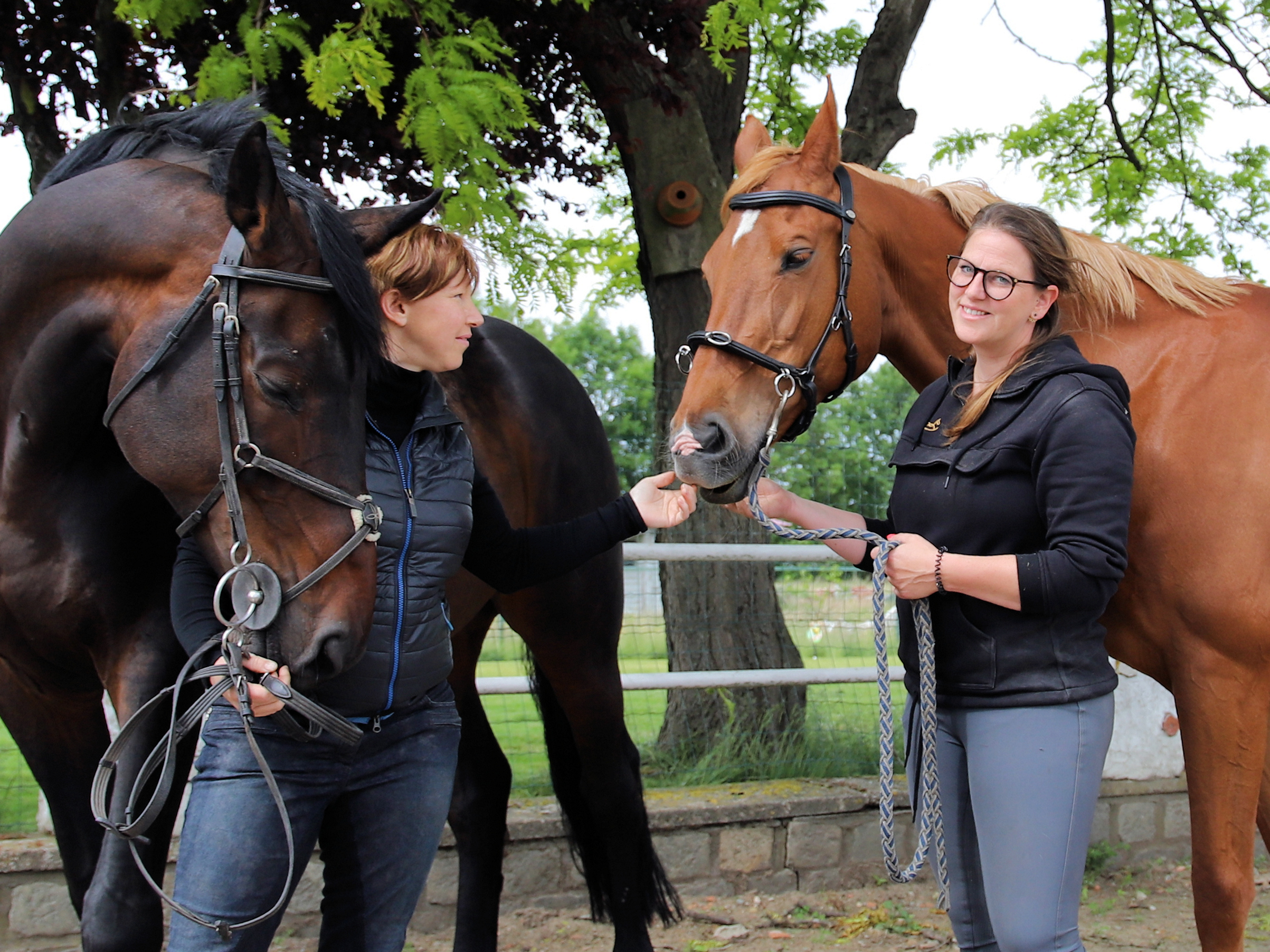 Karen en Michelle met paarden op de fysieke locatie van Horse Academy