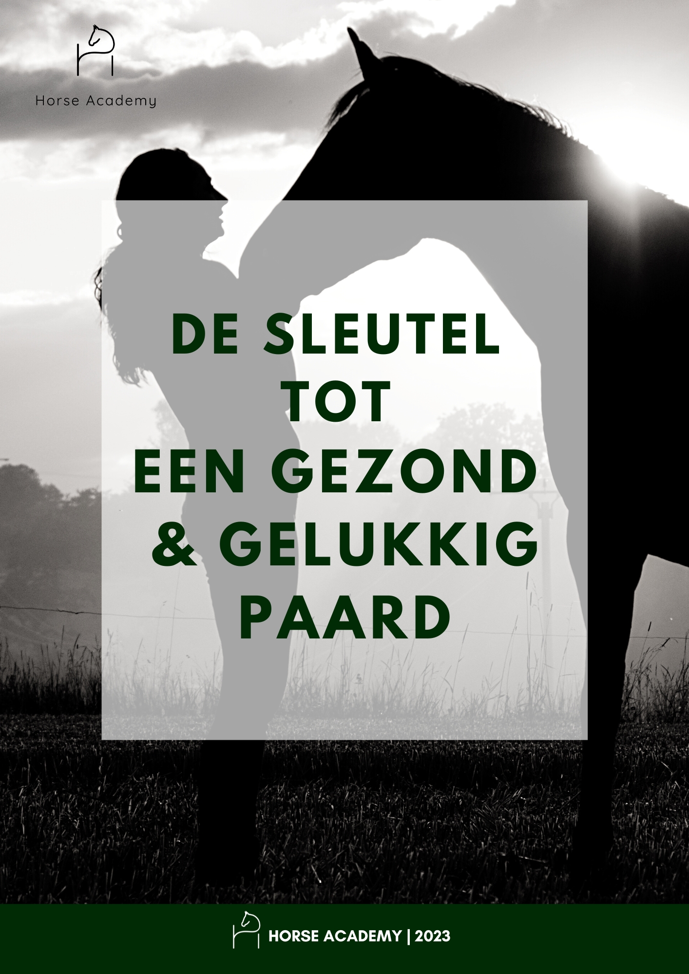 Silhouet van een mens en een paard die samen staan, symbool voor verbinding en paardbewust welzijn.